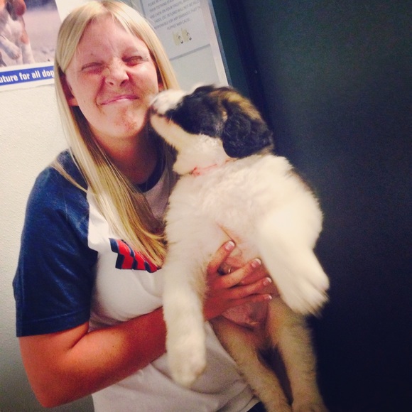 Meet your Posher, Chelsea - Picture 1 of 1